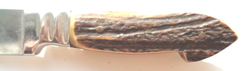 5b8342d91b9e4_29655.jpg.630d4414e501a04b72a2fb0ae7b6c045.jpg