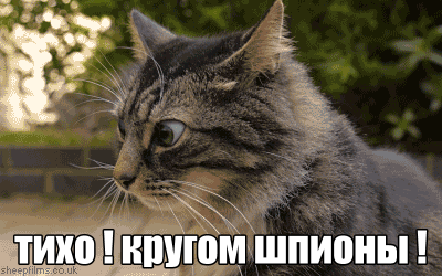 gif110.gif.42bebdd862ead1ba4b114a5e3d79cdd6.gif